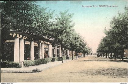 Magnolia Mass. Lexington Ave.