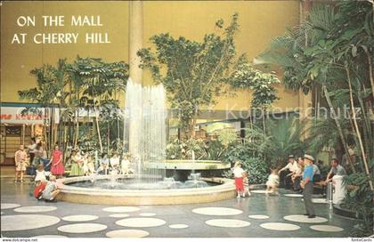 New Jersey Cherry Hill Shopping Center