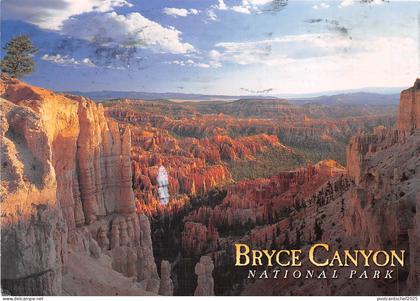 US13 USA Bryce Canyon national park 2014