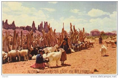Williams Arizona on Route 66, Navajo Sheep Herd Scene, c1960s Vintage Postcard