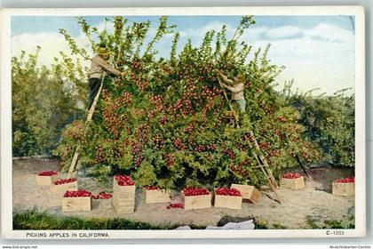 10359201 - San Francisco