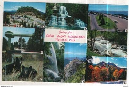 AK 261606 USA - Great Smoky Mountains National Park