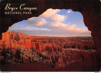 USA UT BRYCE CANYON