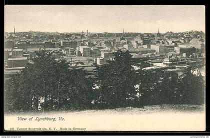 AK Lynchburg, VA, Panoramic View