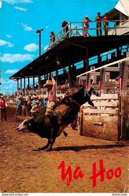 Cheyenne Wyoming Bull Riding