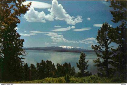 Etats-Unis - Yellowstone Lake - yellowstone national park - the grand loop road follows the shore line of yellowstone la