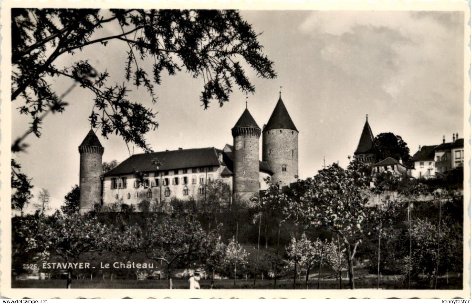 Estavayer, Le Chateau,