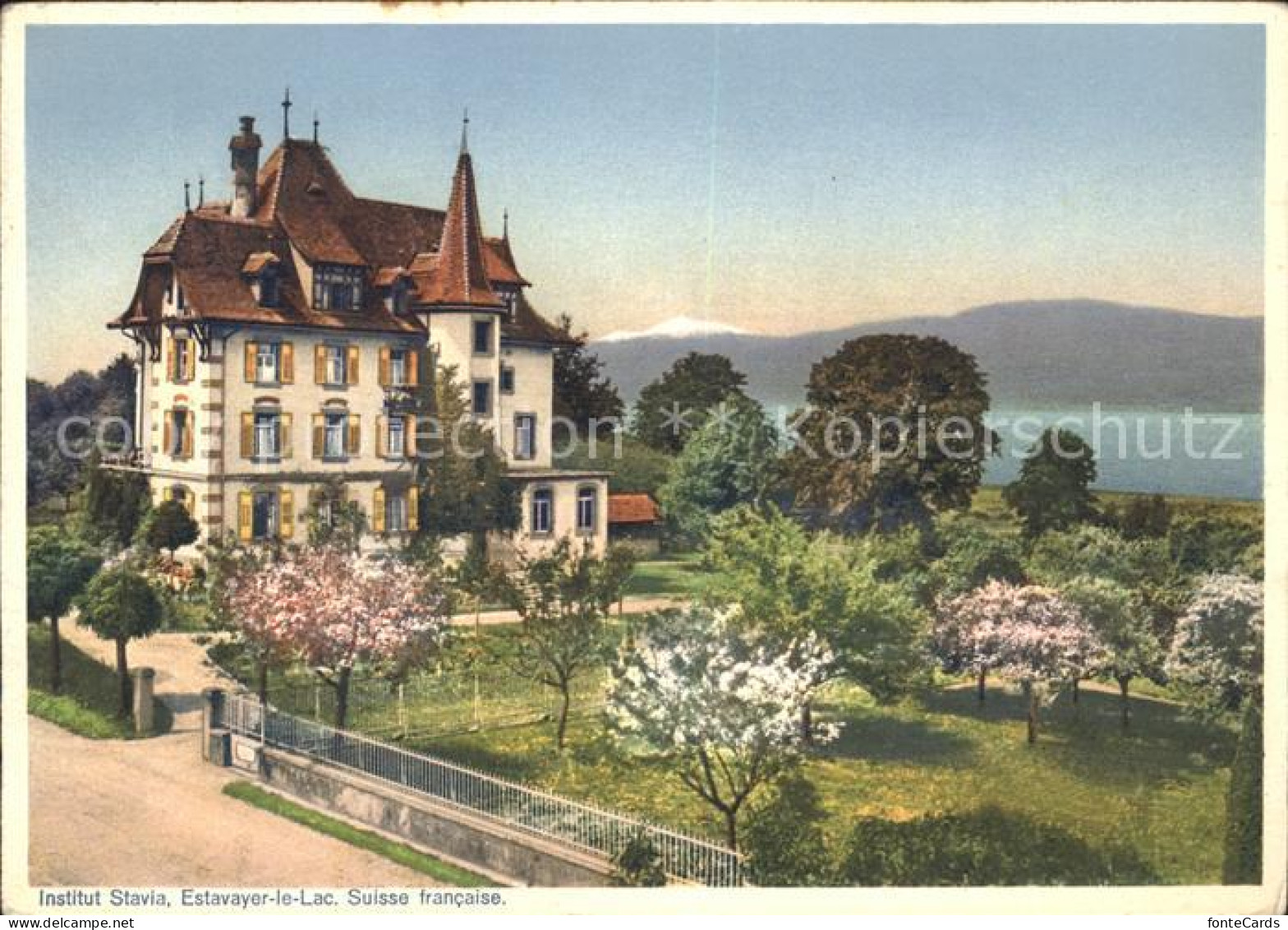 Estavayer-le-Lac Institut Stavia Neuenburgersee Baumbluete