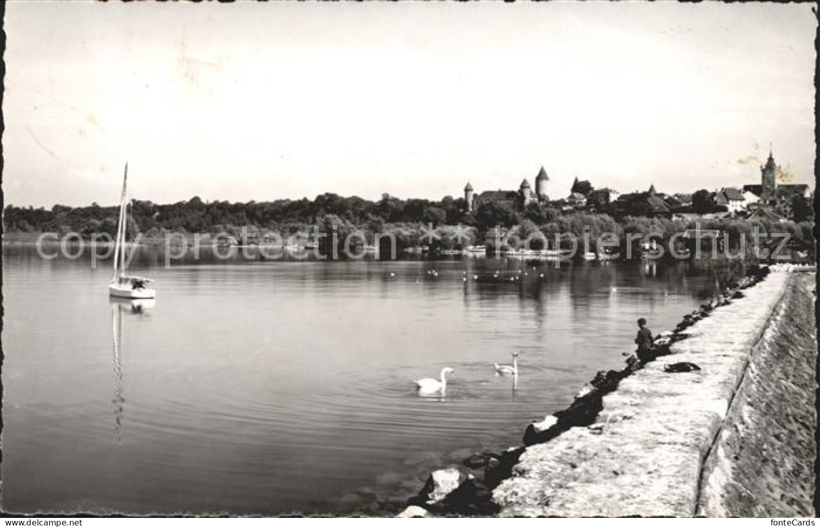 Estavayer-le-Lac Uferpartie am Neuenburgersee Segelboot Schwaene