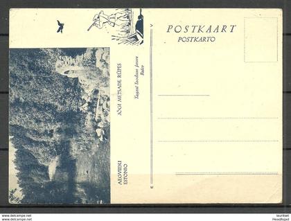 Estland Estonia ca 1930  AEGVIIDU Illustrated Esperanto post card, unused