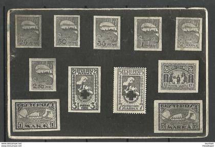 Estonia Estland 1923 Stamps on photo post card "Kollektioner" unused