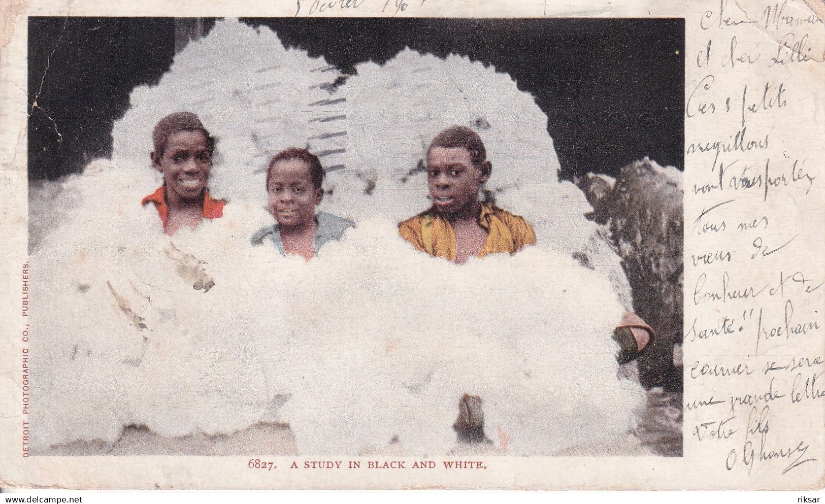 ETATS UNIS(BLACK AMERICANA) COTON