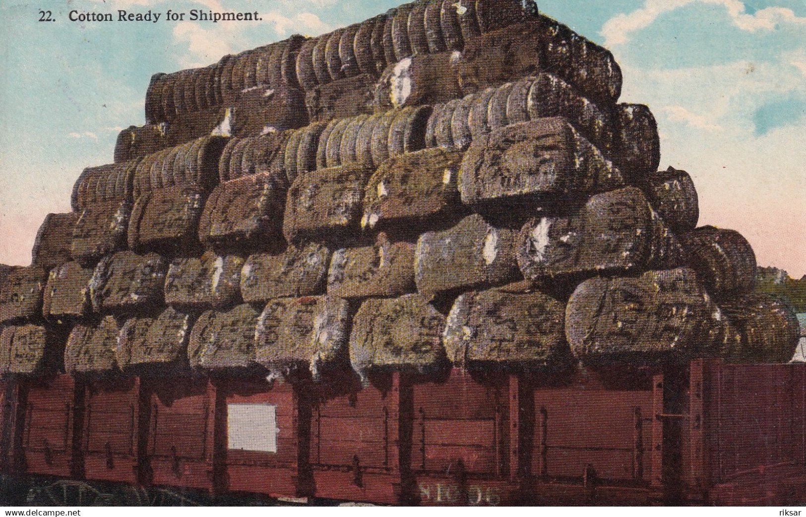 ETATS UNIS(BLACK AMERICANA) COTON(TRAIN)