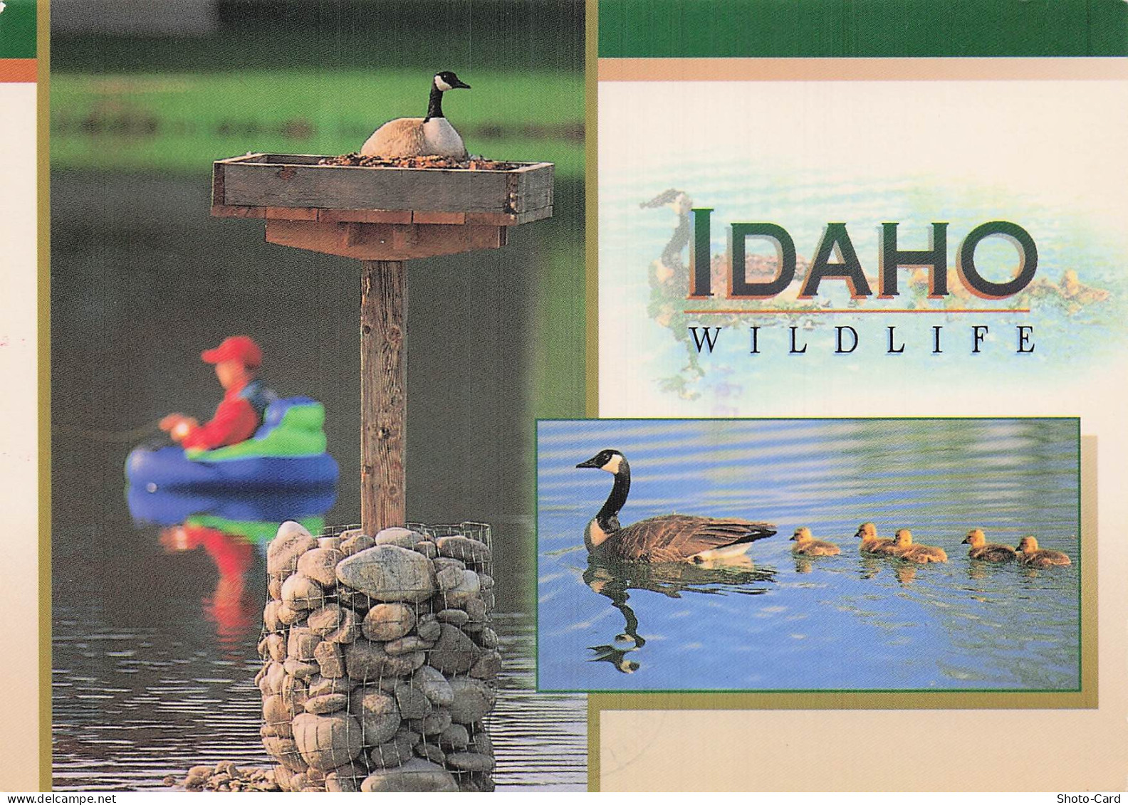 ETATS UNIS BOISE PARK CENTER POND