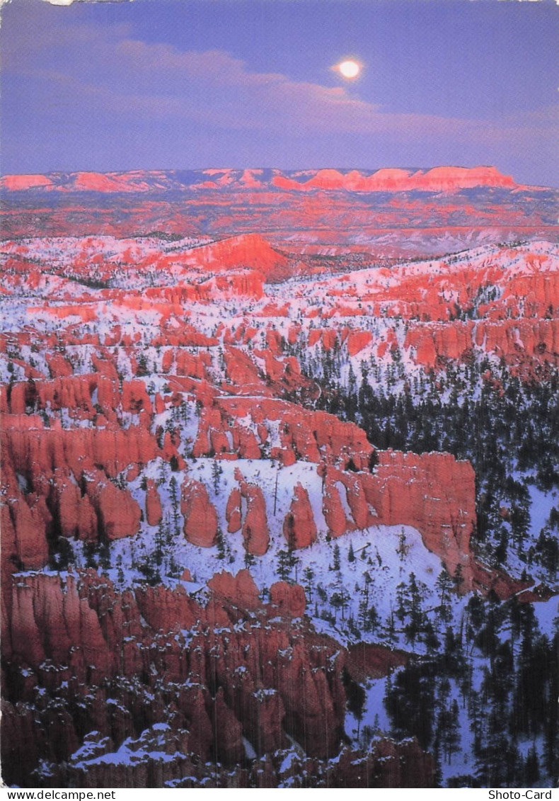 ETATS UNIS BRYCE CANYON PARC NATIONAL DE BRYCE CANYON