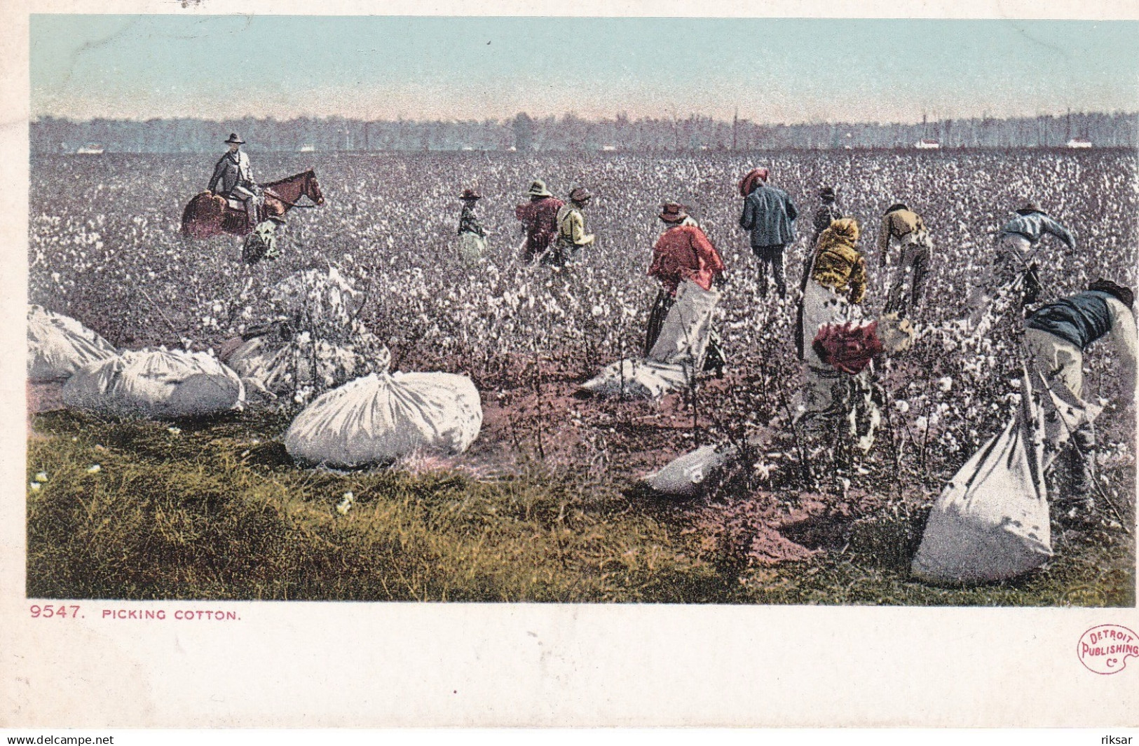 ETATS UNIS(COTON) BLACK AMERICANA(TYPE)