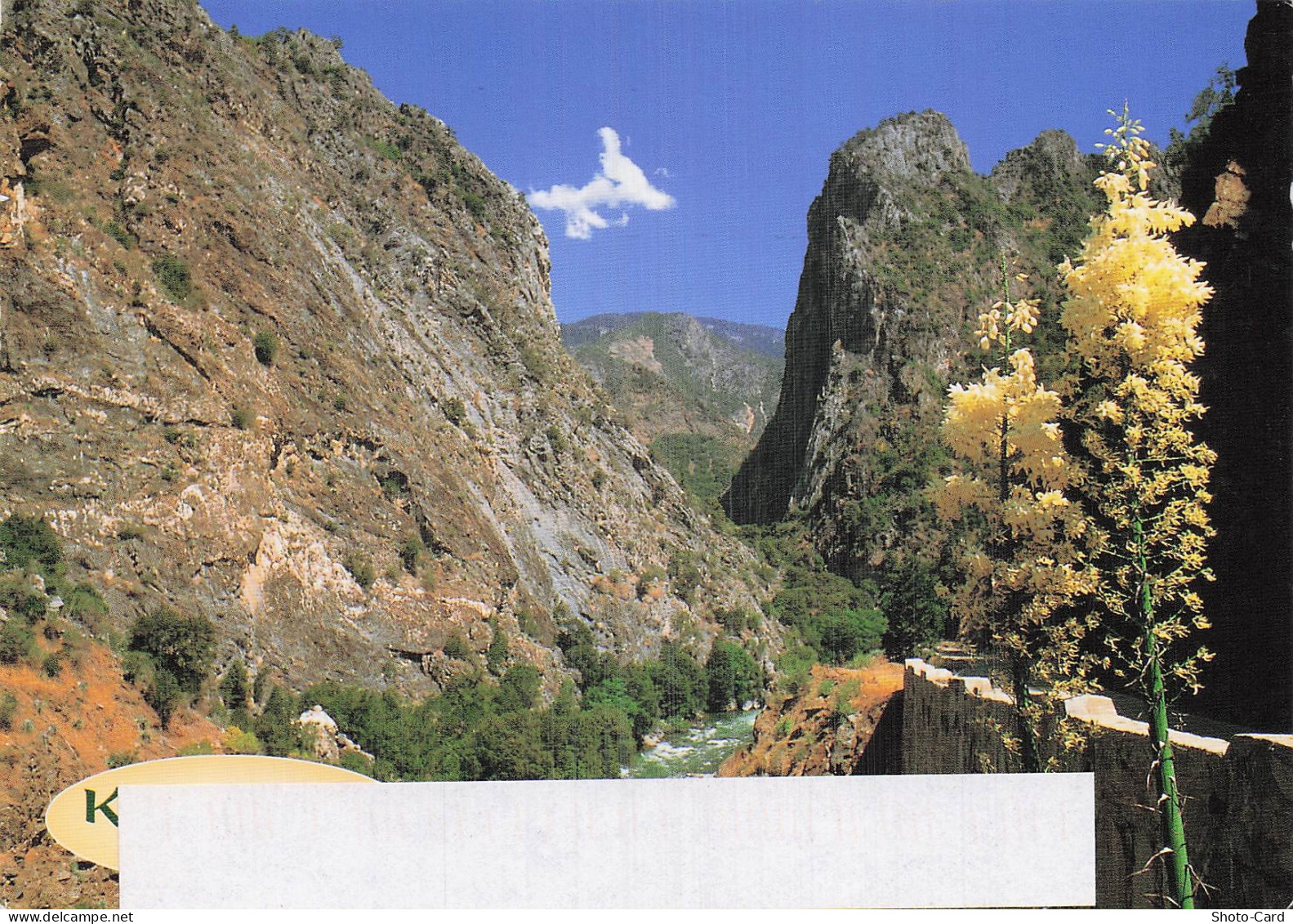 ETATS UNIS KINGS CANYON KINGS CANYON NATIONAL PARK