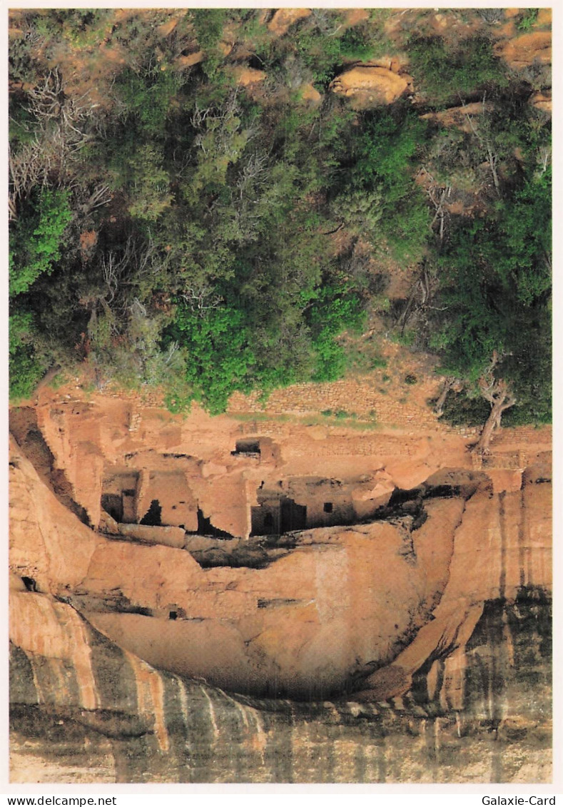 ETATS UNIS MESA VERDE OAK TREE HOUSE MESA VERDE NATIONAL PARK