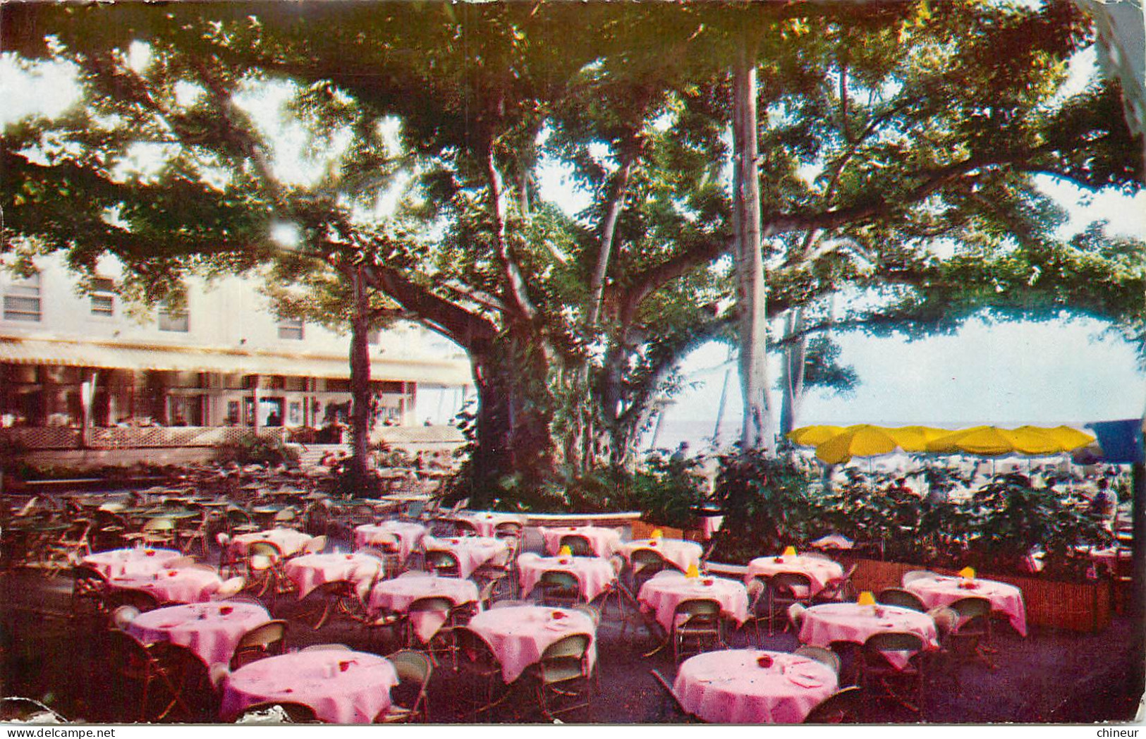 ETATS UNIS MOANA HOTEL'S WORLD FAMOUS BANYAN COURT LANAI