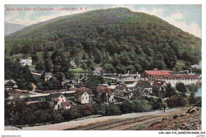 CAR-AGHP15-0688-ETATS-UNIS - CATSKILL monts - Birds eye view of chichester