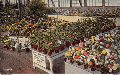 B028 US Flower Exhibit New York State Fair Syracuse vintage postcard