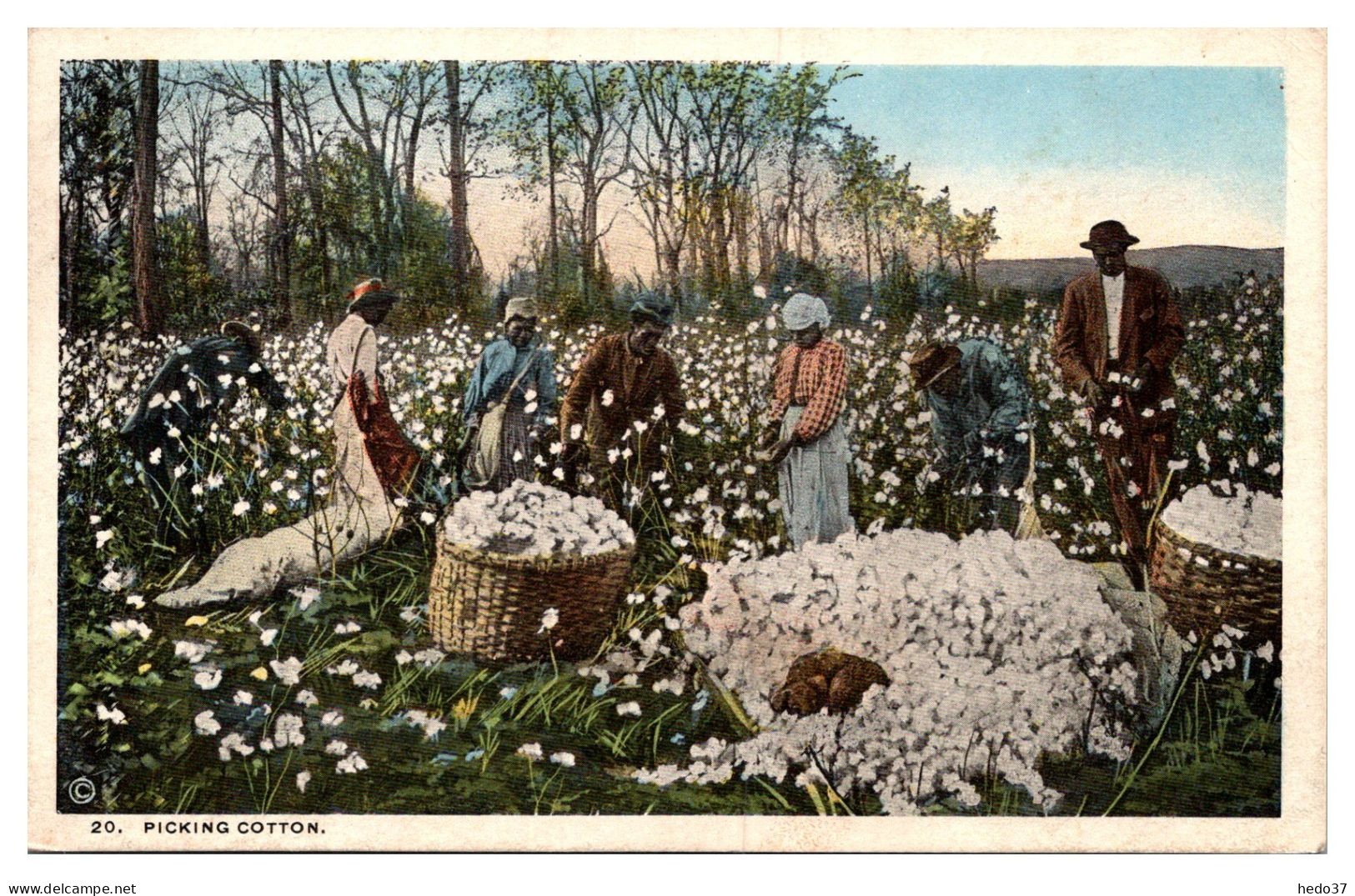 Etats Unis - Picking Coton