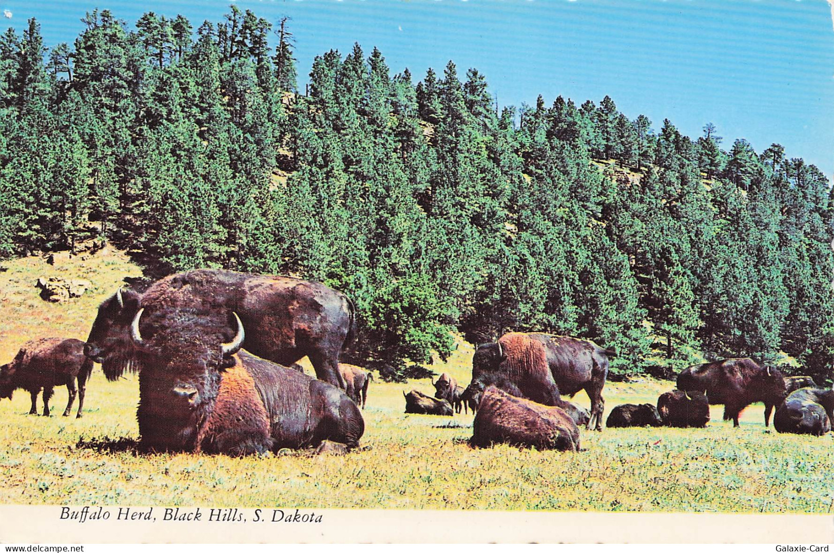 ETATS UNIS RAPID CITY SOUTH DAKOTA