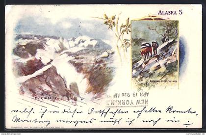 AK Alaska, AK, Muir Glacier, Packing over the hill