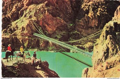 [-5%] ETATS UNIS - Arizona - Kaibab - Parc National Du Grand Canyon - Animé - Colorisé - Carte postale ancienne