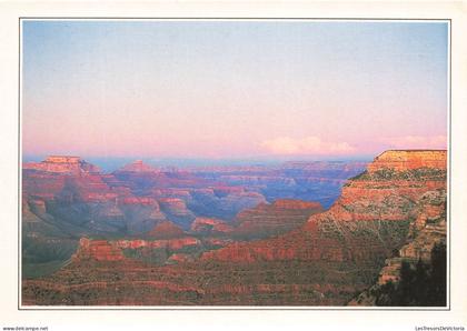 [-5%] ETATS-UNIS - Arizona - The Grand Canyon - Considéré comme l'une des merveilles du monde - Carte Postale Ancienne