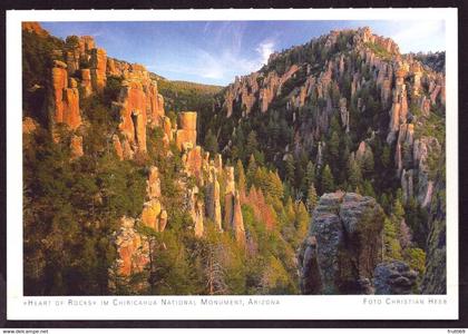 AK 000861 USA - Arizona - Chiricahua National Monument - Heart of Rocks
