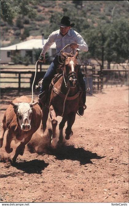 Phoenix Arizona Cowboy