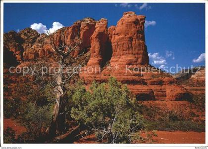 Sedona Coffee Pot Rock