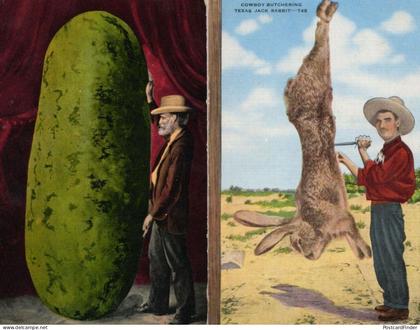Texas TX Cowboy Butchering Jack Rabbit 2x USA Old Postcard s