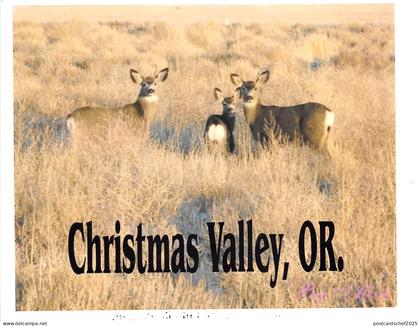 US7 USA OR. Christmas Valley Oregon deer scene