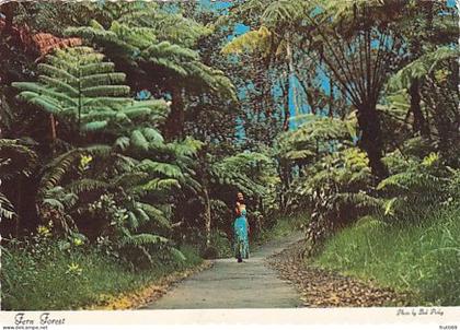 AK 271376 USA - Fern Forest