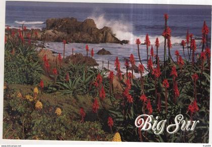 AK 247467 USA - Big Sur