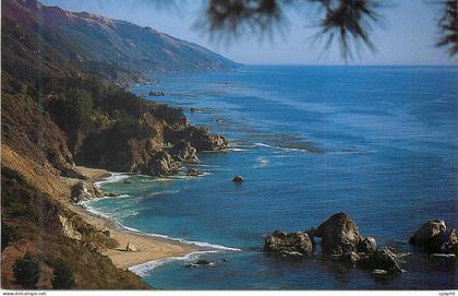 CPM Big Sur Coast Julia Pfeiffer Burns State Park Big Sur California
