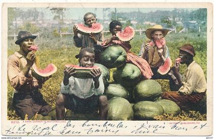 BLACK AMERICANA - A dark Corner in watermelons