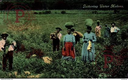 GATHERING WATER MELONS  Black Americana   afro americana coleccionblack