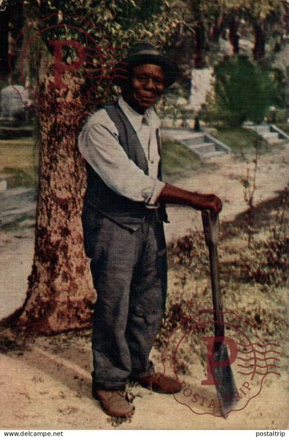 OLD BLACK JOE  afro americana coleccionblack