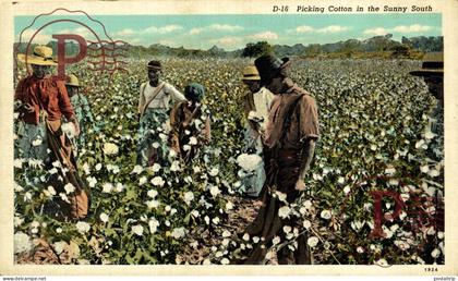 PICKING COTTON IN THE SUNNY SOUTH Black Americana   afro americana coleccionblack