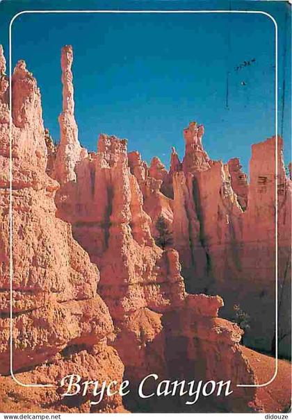 Carte Postale - Etats Unis - Utah - Bryce Canyon - CPM - Voir Scans Recto-Verso - Poscard - Carta Postal -  Postkarte