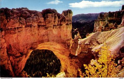 Etats - Unis - USA - Bryce Canyon - National Park - Natural Bridge - CPA