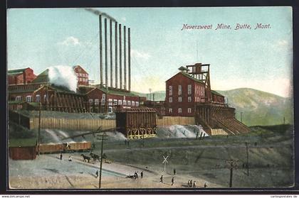 AK Butte, MT, Neversweat Mine