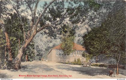 C121 California San Jose Alum Rock Mineral Water Springs Plunge 1920 postcard
