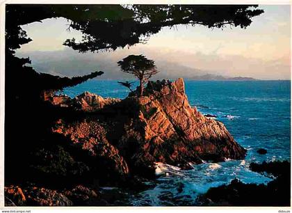 Carte Postale - Etats Unis - Midway Pt Lone Cypress 17 mile drive Pt Lobos with Santa Lucia Mtn s in distance - CPM - Vo