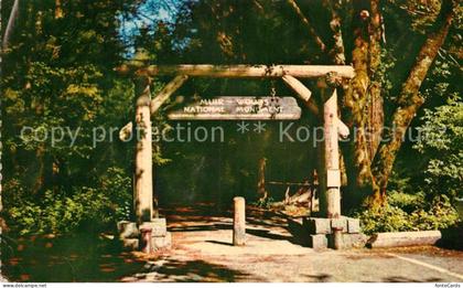 Mill Valley Gateway to Muir Woods National Monument