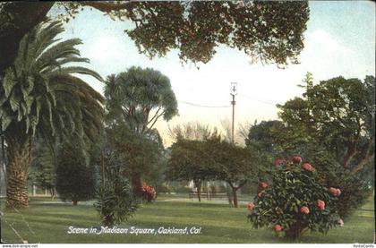 Oakland California Madison Square