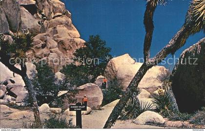 Santa Ana California Joshua Tree National Monument